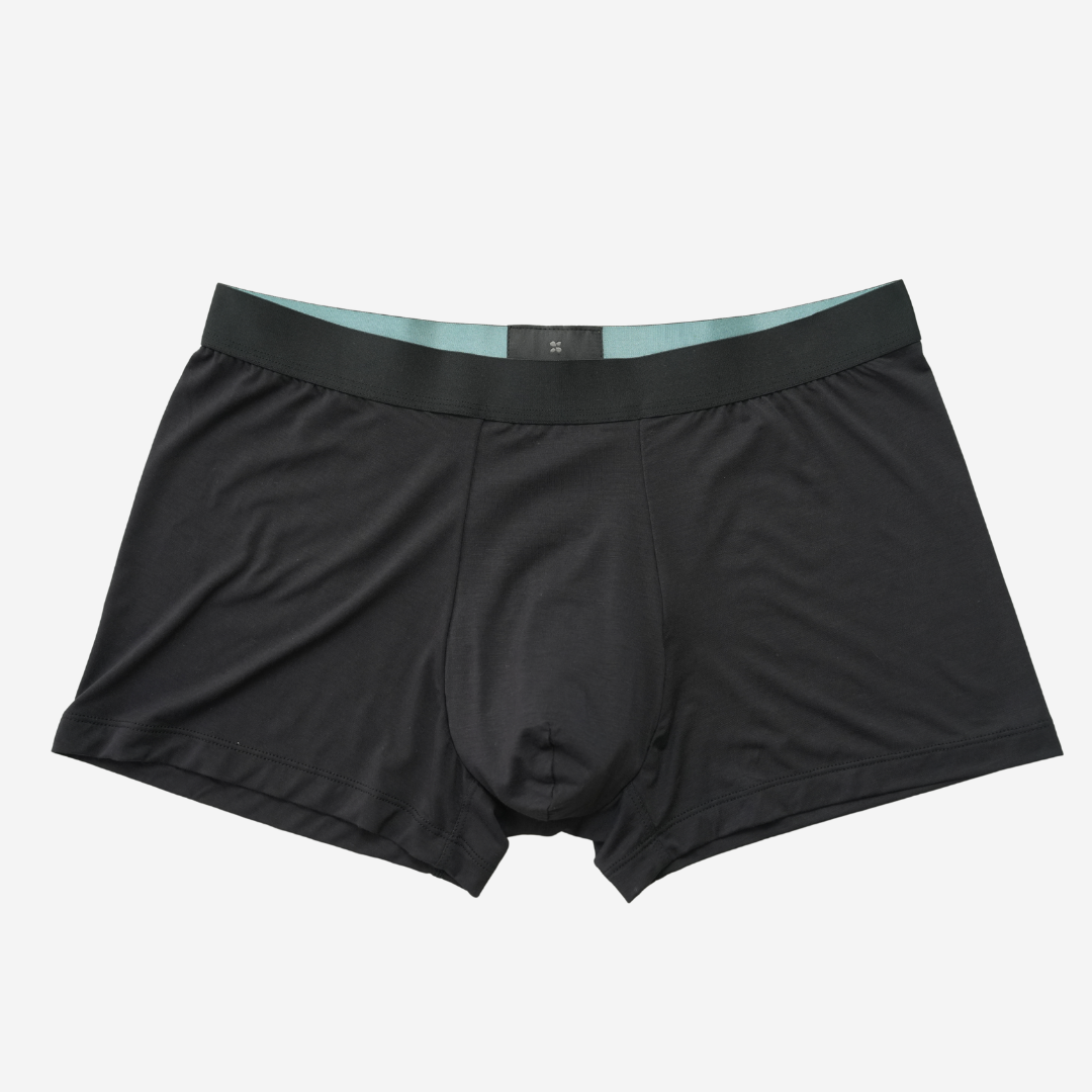 Everwear Classic Black Brief