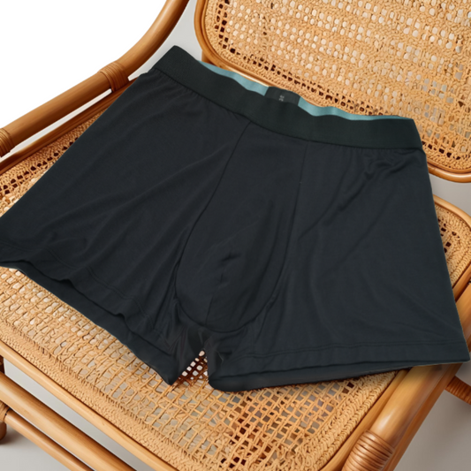 Everwear Classic Black Brief